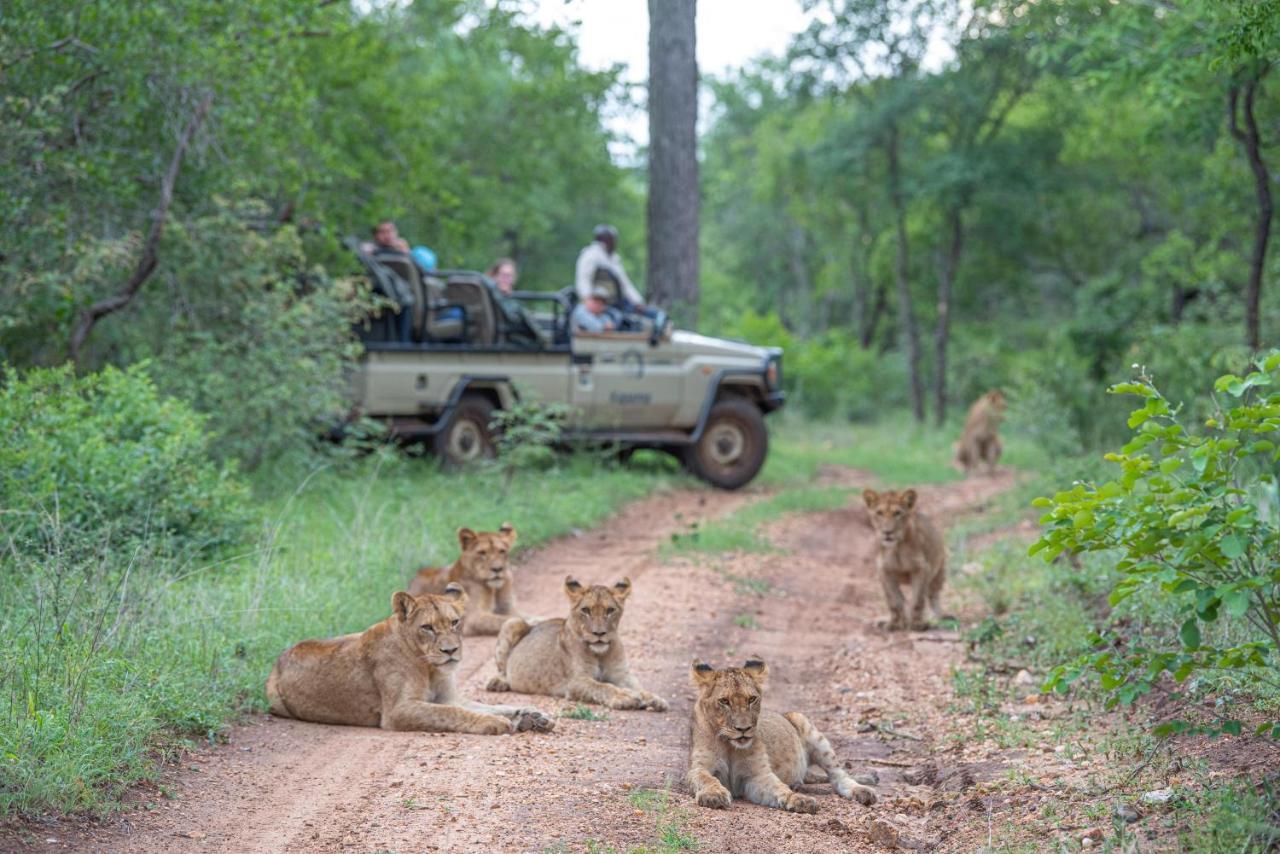 Вілла Kapama Karula Kapama Game Reserve Екстер'єр фото