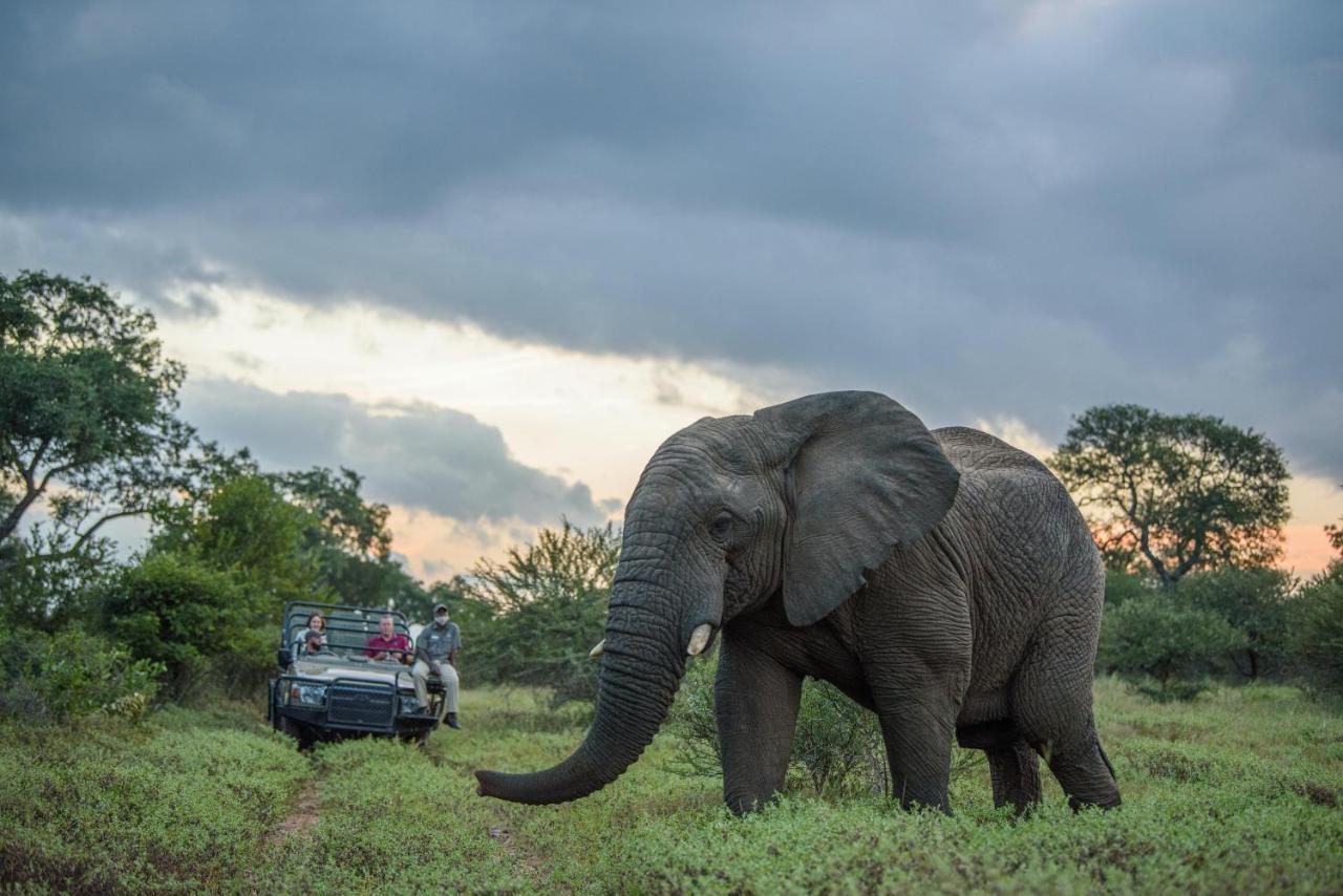 Вілла Kapama Karula Kapama Game Reserve Екстер'єр фото