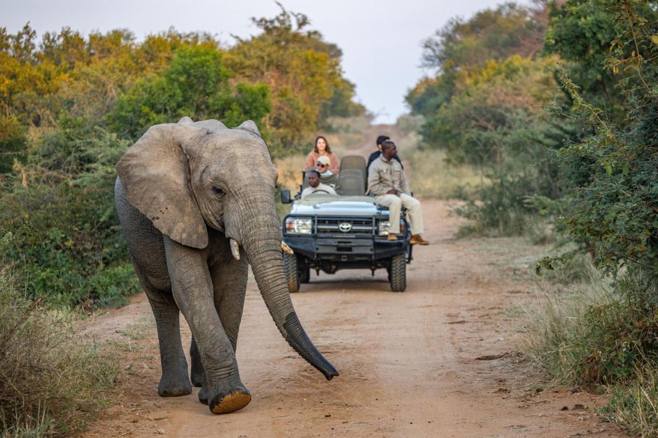 Вілла Kapama Karula Kapama Game Reserve Екстер'єр фото
