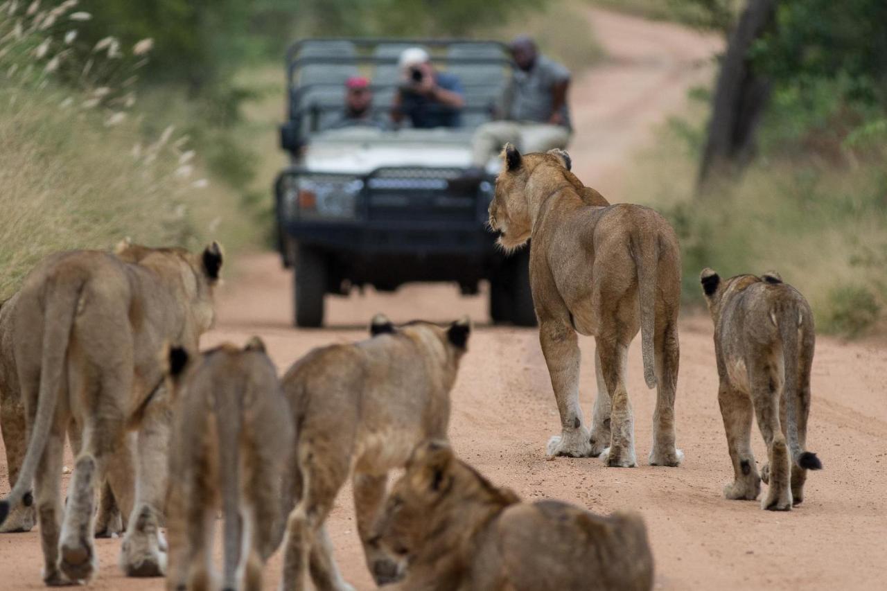 Вілла Kapama Karula Kapama Game Reserve Екстер'єр фото